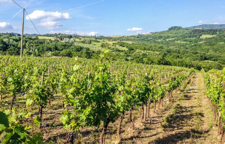  Paolo-Conterno-Toscana-Ortaglia-08-1500 