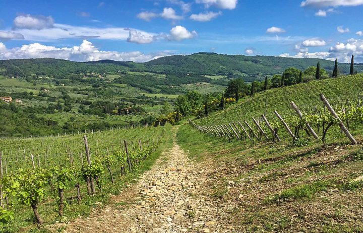  Paolo-Conterno-Toscana-Ortaglia-09-1500 